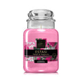 Vela perfumada en vidrio Sensazionale - formato maxi 100 horas - 2 fragancias — Lady Venezia